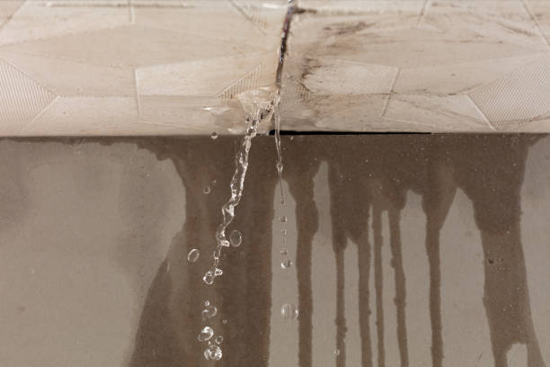 Professional Structural Drying technician working in Birmingham, NJ